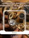 Rolex 勞力士 抹油 拋光 翻新 或維修服務計劃 Rolex 勞力士 抹油 拋光 翻新 或維修服務計劃