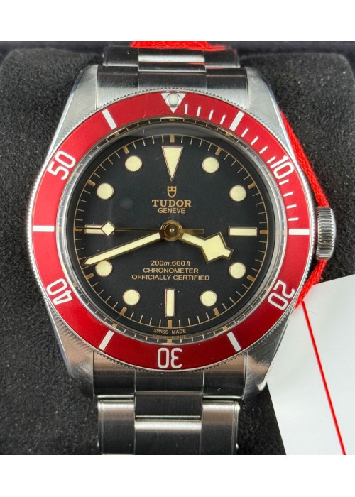 二手  ▶️  TUDOR  帝舵表  BLACK BAY  ◀️    M79230R   2018年錶  (41mm)  